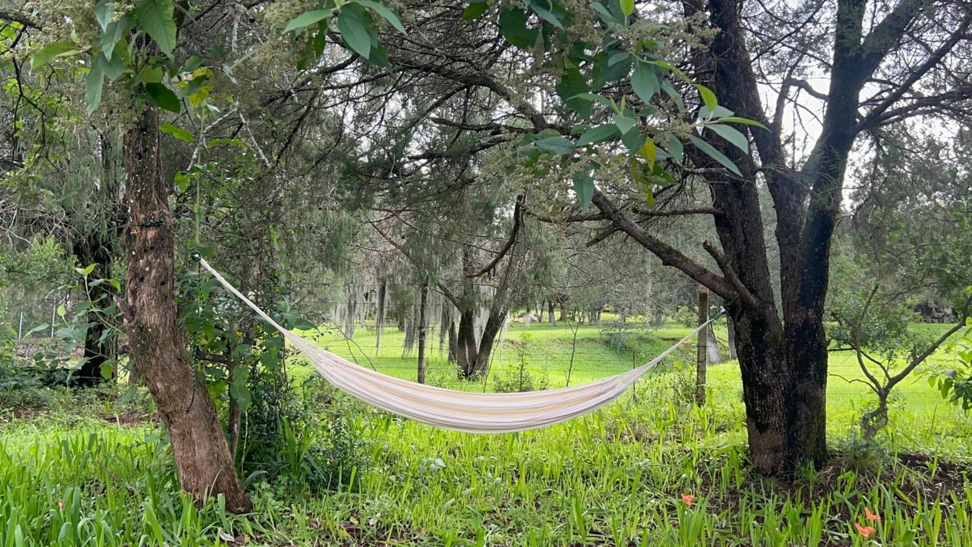 Cabanas La Victoria By Gestores Huasca de Ocampo Eksteriør billede