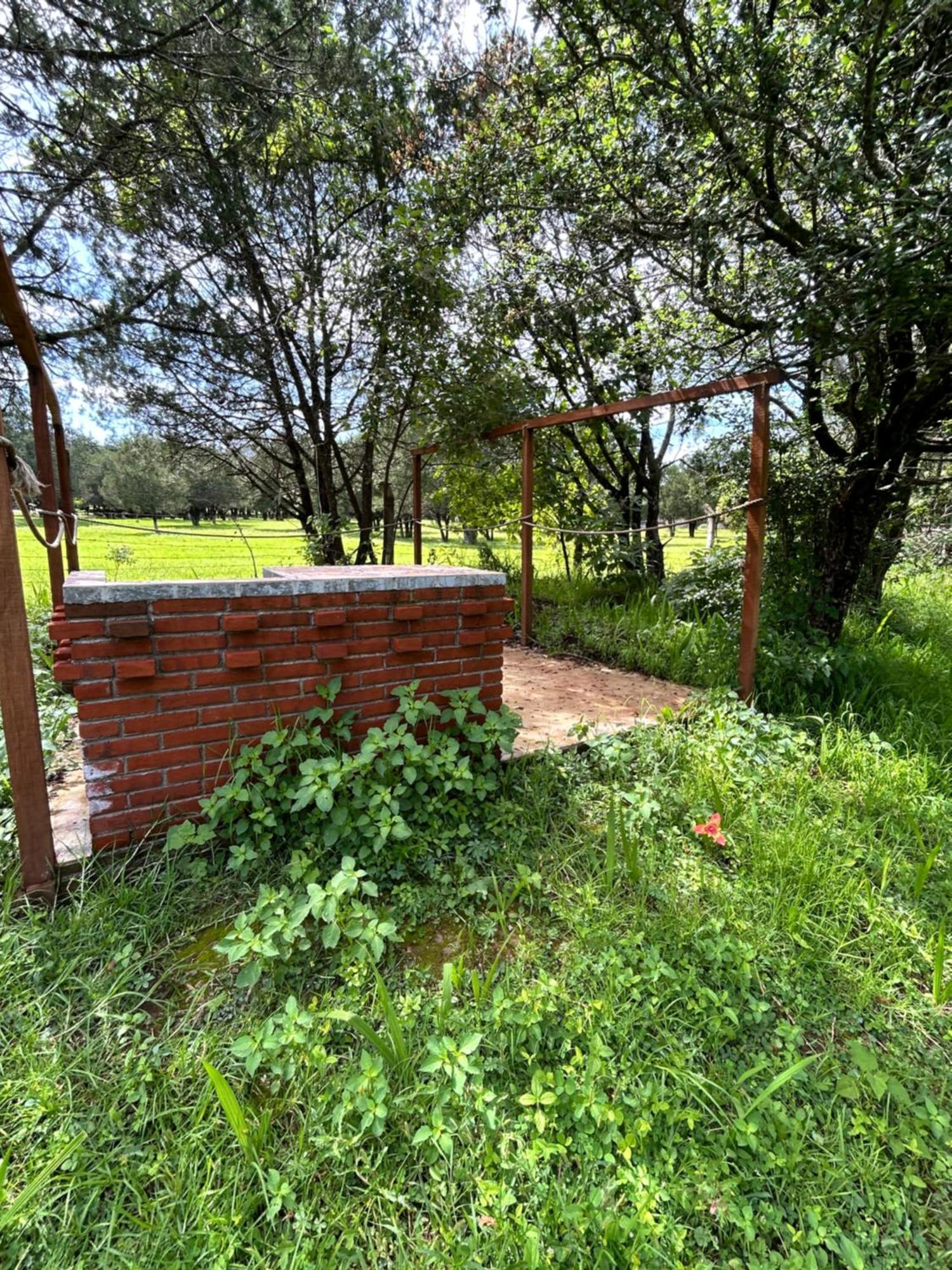 Cabanas La Victoria By Gestores Huasca de Ocampo Eksteriør billede