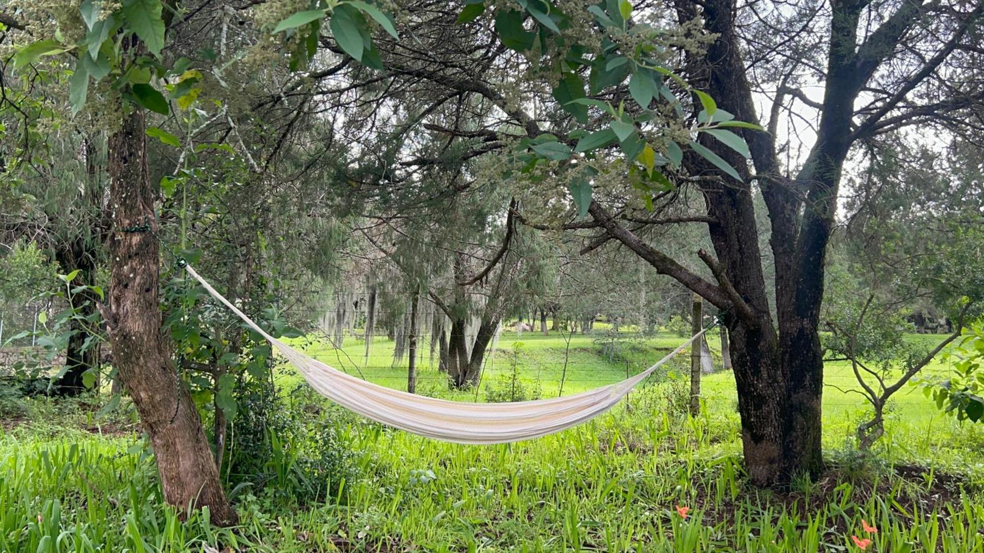 Cabanas La Victoria By Gestores Huasca de Ocampo Eksteriør billede
